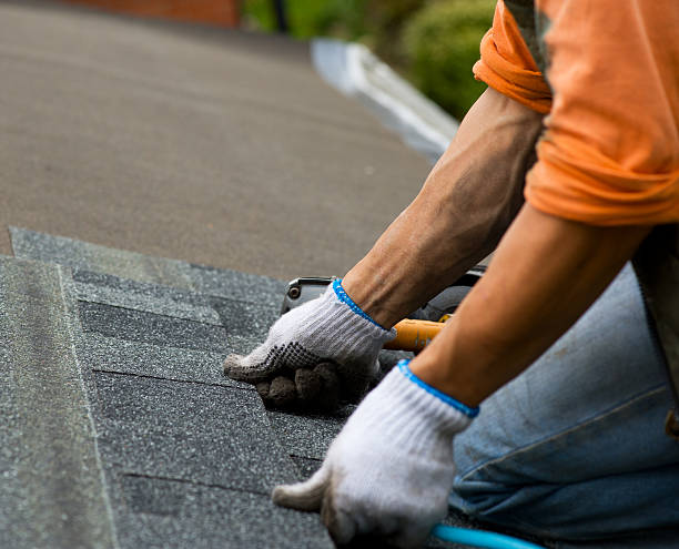 Best Shingle Roofing Installation  in Clarinda, IA