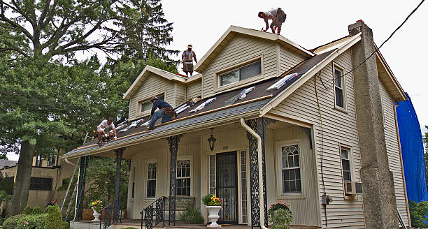 Best Metal Roofing Contractor  in Clarinda, IA